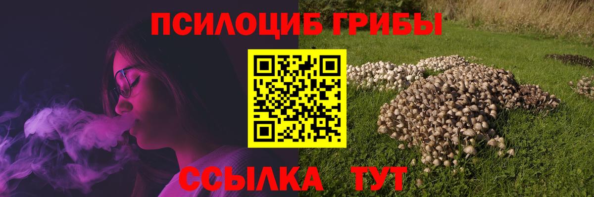 Галлюциногенные грибы GOLDEN TEACHER  Галлюциногенные грибы Psilocybe  Вход с VPN  Мыски 